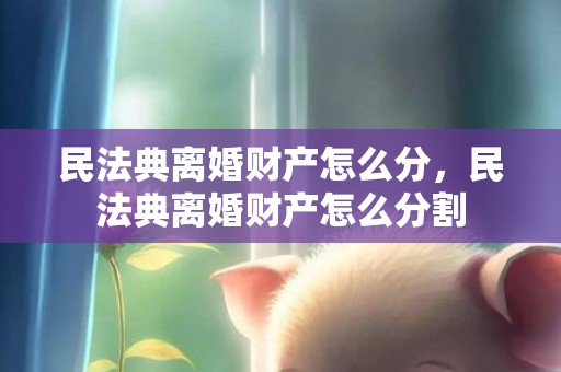 民法典离婚财产怎么分，民法典离婚财产怎么分割