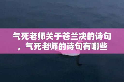 气死老师关于苍兰决的诗句，气死老师的诗句有哪些
