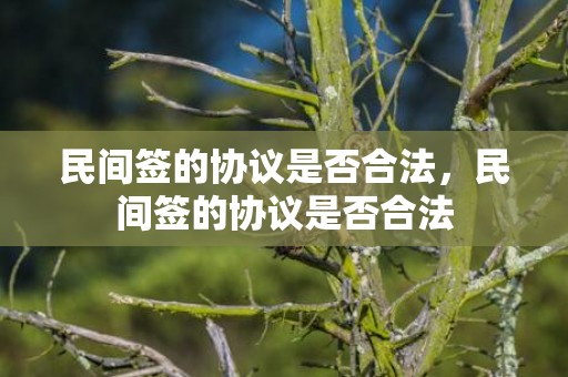 民间签的协议是否合法，民间签的协议是否合法