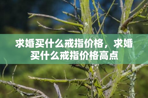 求婚买什么戒指价格，求婚买什么戒指价格高点