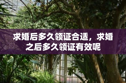 求婚后多久领证合适，求婚之后多久领证有效呢