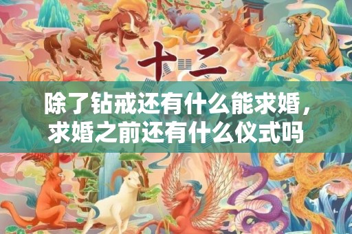 除了钻戒还有什么能求婚，求婚之前还有什么仪式吗