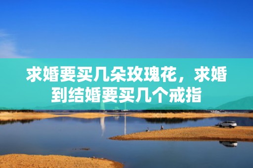求婚要买几朵玫瑰花，求婚到结婚要买几个戒指