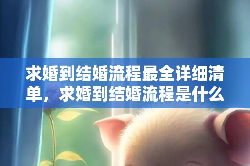 求婚到结婚流程最全详细清单，求婚到结婚流程是什么
