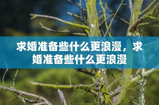 求婚准备些什么更浪漫，求婚准备些什么更浪漫