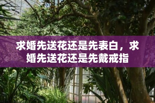 求婚先送花还是先表白，求婚先送花还是先戴戒指