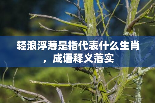 轻浪浮薄是指代表什么生肖，成语释义落实