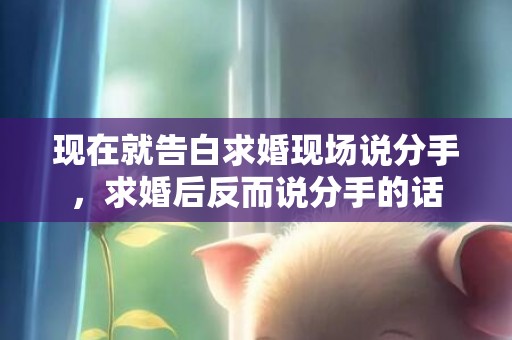 现在就告白求婚现场说分手，求婚后反而说分手的话