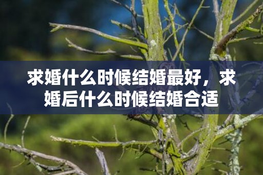求婚什么时候结婚最好，求婚后什么时候结婚合适