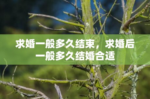 求婚一般多久结束，求婚后一般多久结婚合适