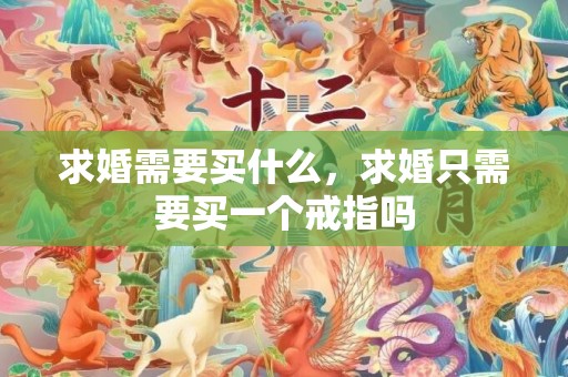 求婚需要买什么，求婚只需要买一个戒指吗