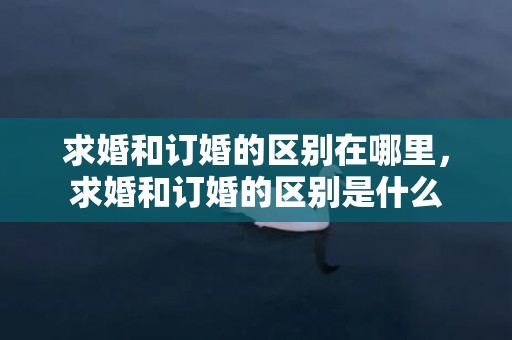 求婚和订婚的区别在哪里，求婚和订婚的区别是什么