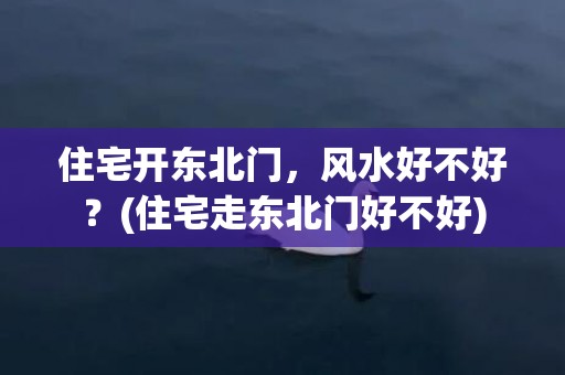 住宅开东北门，风水好不好？(住宅走东北门好不好)