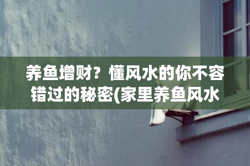 养鱼增财？懂风水的你不容错过的秘密(家里养鱼风水好)