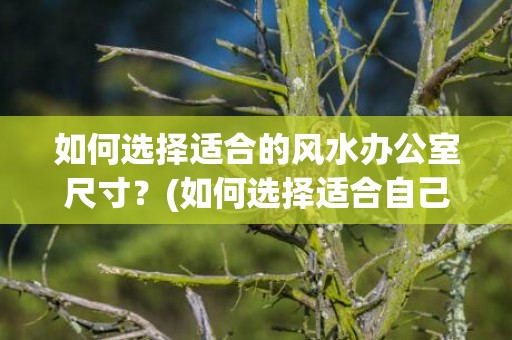 如何选择适合的风水办公室尺寸？(如何选择适合自己的专业)