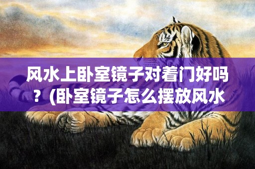 风水上卧室镜子对着门好吗？(卧室镜子怎么摆放风水好)