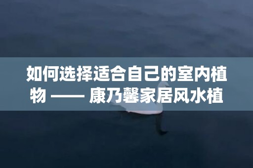 如何选择适合自己的室内植物 —— 康乃馨家居风水植物推荐(如何选择适合自己的工作)