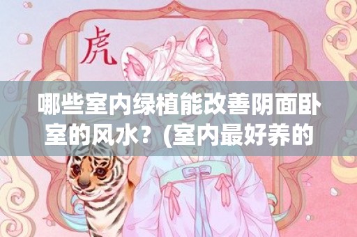 哪些室内绿植能改善阴面卧室的风水？(室内最好养的大型绿植有哪些)