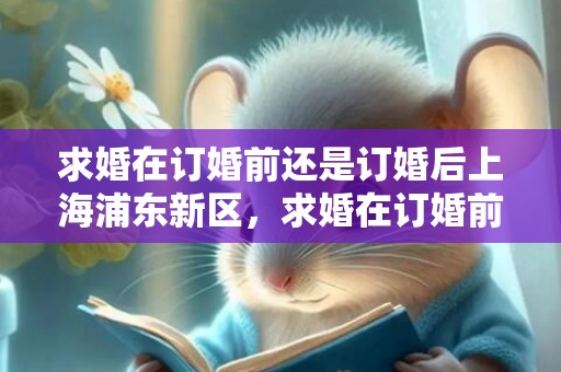 求婚在订婚前还是订婚后上海浦东新区，求婚在订婚前还是领证前