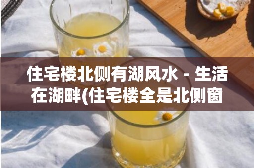 住宅楼北侧有湖风水 - 生活在湖畔(住宅楼全是北侧窗)