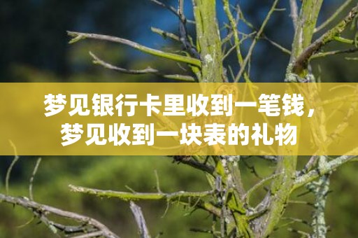 梦见银行卡里收到一笔钱，梦见收到一块表的礼物