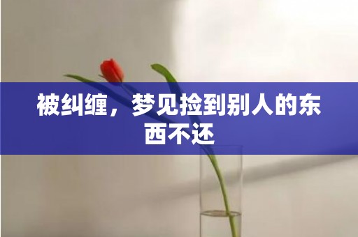 被纠缠，梦见捡到别人的东西不还