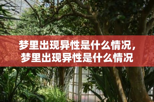 梦里出现异性是什么情况，梦里出现异性是什么情况
