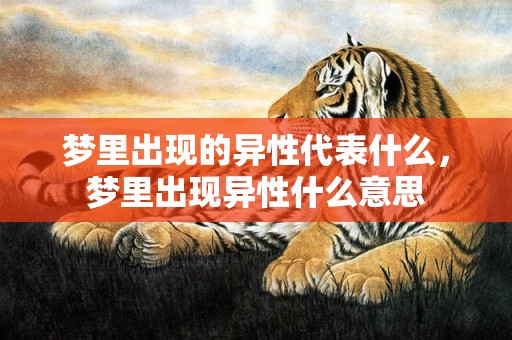 梦里出现的异性代表什么，梦里出现异性什么意思
