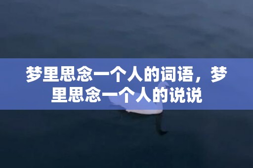 梦里思念一个人的词语，梦里思念一个人的说说