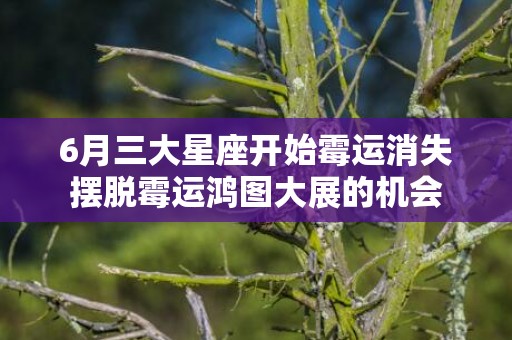 6月三大星座开始霉运消失摆脱霉运鸿图大展的机会