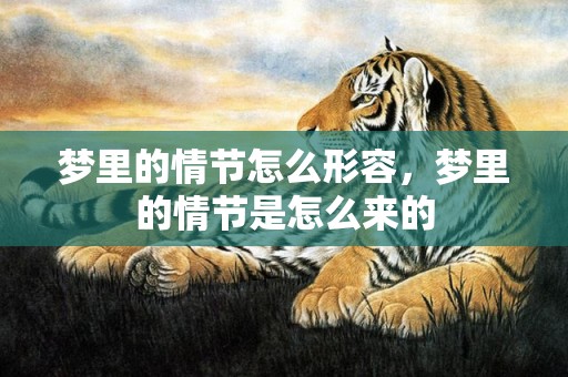 梦里的情节怎么形容，梦里的情节是怎么来的