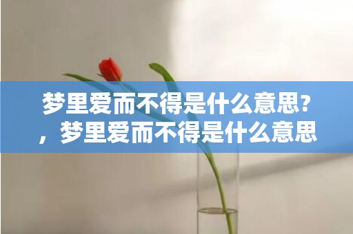 梦里爱而不得是什么意思?，梦里爱而不得是什么意思