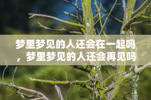 梦里梦见的人还会在一起吗，梦里梦见的人还会再见吗