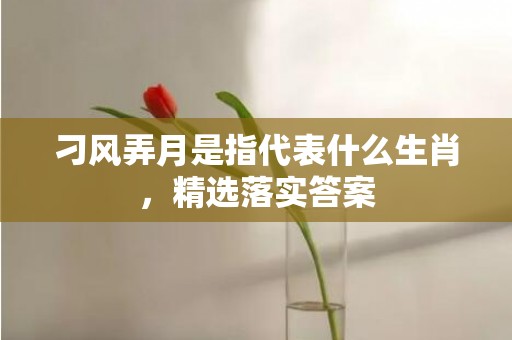 刁风弄月是指代表什么生肖，精选落实答案