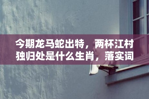 今期龙马蛇出特，两杯江村独归处是什么生肖，落实词语解释