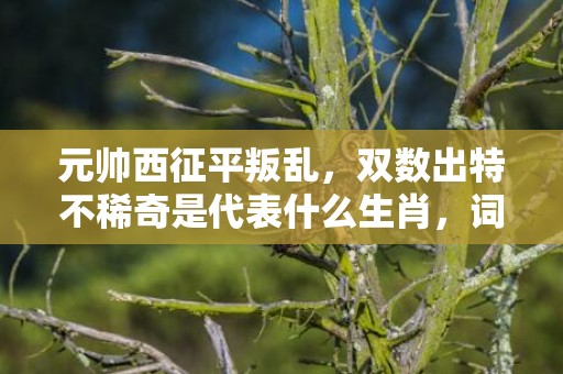元帅西征平叛乱，双数出特不稀奇是代表什么生肖，词语落实解释