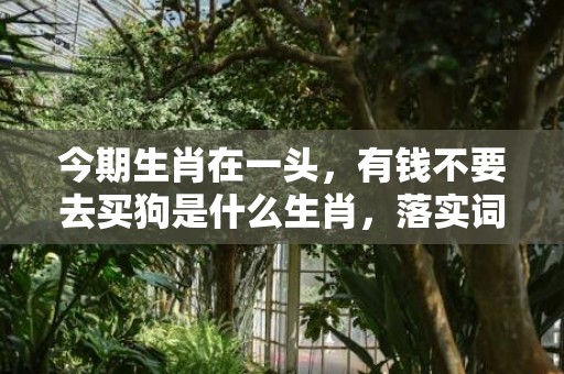 今期生肖在一头，有钱不要去买狗是什么生肖，落实词语解释