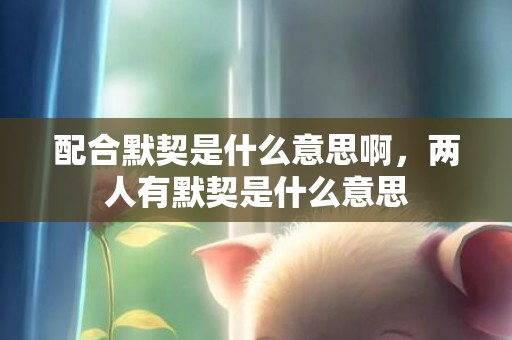 配合默契是什么意思啊，两人有默契是什么意思
