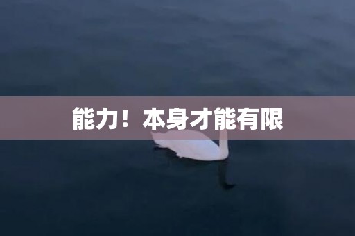 能力！本身才能有限
