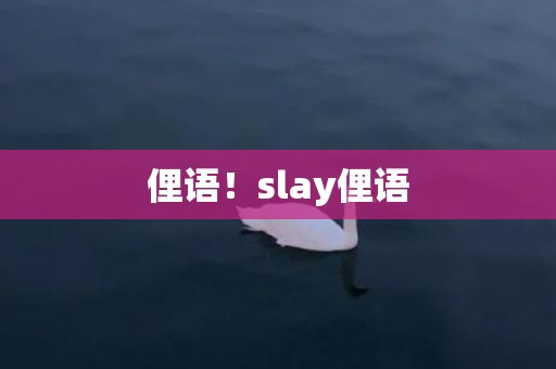 俚语！slay俚语