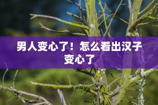 男人变心了！怎么看出汉子变心了