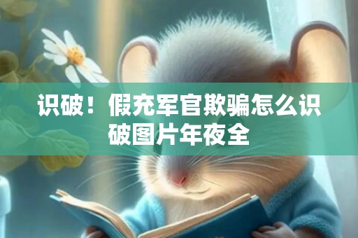 识破！假充军官欺骗怎么识破图片年夜全