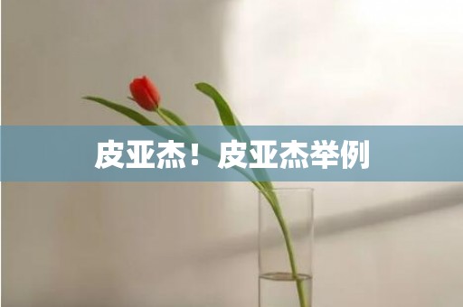 皮亚杰！皮亚杰举例