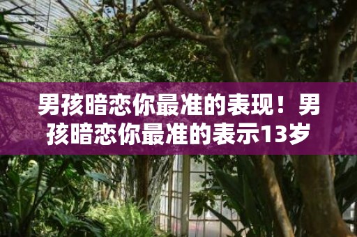 男孩暗恋你最准的表现！男孩暗恋你最准的表示13岁