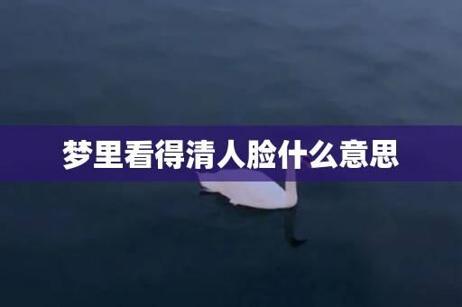 梦里看得清人脸什么意思