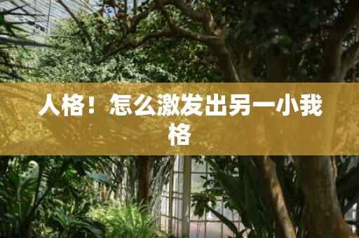人格！怎么激发出另一小我格