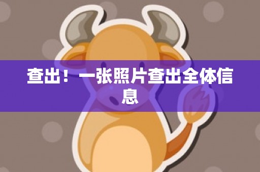查出！一张照片查出全体信息
