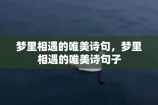 梦里相遇的唯美诗句，梦里相遇的唯美诗句子