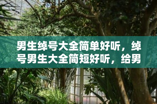 男生绰号大全简单好听，绰号男生大全简短好听，给男生取绰号好玩的