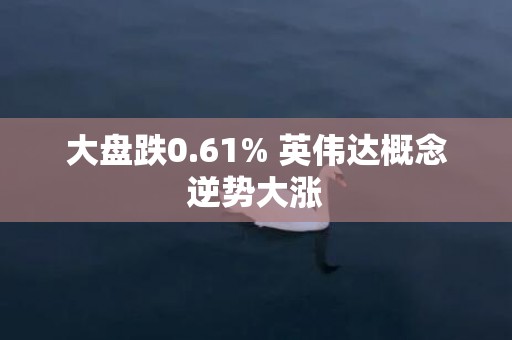 大盘跌0.61% 英伟达概念逆势大涨